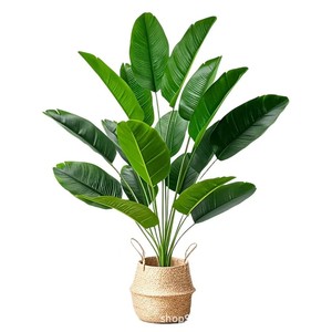 Plantes artificielles <span class=keywords><strong>en</strong></span> <span class=keywords><strong>pot</strong></span> Hongsheng, faux arbre vert, écologiques, <span class=keywords><strong>en</strong></span> plastique, pour intérieur/<span class=keywords><strong>extérieur</strong></span>, 60 cm de haut, simulation de plantes debout - Product Image 5