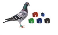 Sunbestrfd – anneau de pigeon Rfid 125KHz 134.2MHz FDX-B avec numéro lettre oiseau nourriture signe anneaux pigeon outils de transport