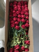 Bunga Buatan TCF Silk Bouquet, Bunga Murah untuk Dekorasi Rumah dan Pernikahan, Bunga Terlaris, Mawar Awet Warna Pink