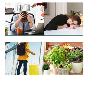 Dd3927 tưới nước quả cầu tự động 500ml Nhựa Tự tưới nước trồng tưới nhỏ giọt với chậm phát hành điều khiển - Product Image 6