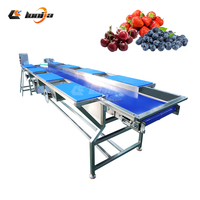 Kersen-tomaat vortex fruitwasmachine fruit sorteerder abrikozen sorteermachine bubbelwasser groente- en fruitreinigingslijn