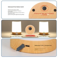Lampe de table solaire IPX5 étanche rechargeable pour extérieur, jardin, patio, lumière de nuit portable, lampe de chevet