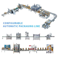 Robot de palettisation personnalisé entièrement automatique Ligne d'emballage automatisée de boxe en papier Monteur de carton Machines à sceller multi-tension