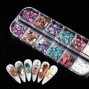 12 Grids Nail Art Aurora <b>Abalone</b> <b>Shell</b> Flakes 3D Charms Irregular Seashell Fragment Aurora Slices DIY Manicure Decor Accessories - Product Image 6