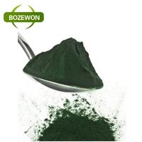 Poudre de spiruline de haute qualité OEM/ODM, emballage personnalisé, riche en protéines végétales