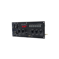 Module d'amplificateur audio HN-ABX1942 pour karaoké, 13,5 V, avec réglage du volume du micro, de l'écho, des basses et des aigus