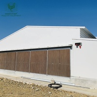 Gallinero de Acero de Tamaño Personalizado con Ventilación por Túnel para Proyectos Comerciales de Gran Escala de Pollos de Engorde