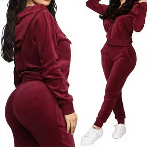 Sport Gym Women's Solid Short Velvet Two Piece Winter Tracksuit Set Custom Patches Vintage Style Hooded Windproof Fleece Jogging - Product Image 1