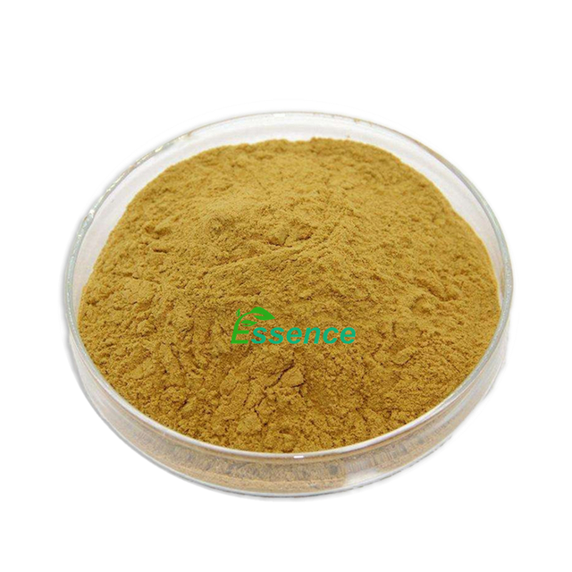 Natural Ingredient 10:1 20:1 Lemon Balm Extract Powder Pure Melissa Officinalis Extract Powder