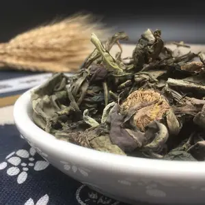 Wholesale Da Qing Ye High Quality Chinese Herb Dried Folium Isatidis Original Indigowoad Leaf