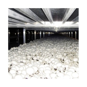 Industrial Mushroom Grow <strong>Racking</strong> System, Stackable Steel Shelf for <strong>Greenhouse</strong> &amp; Warehouse - Product Image 1