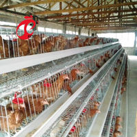 Grand poulailler en métal avec enclos, poulailler pas cher pour 3 poules avec cages à poules, pondeuses à vendre