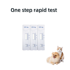 Kit Teste Simples Sangue Vet Parvovírus Canino Antigen Rapid <span class=keywords><strong>Test</strong></span> CPV Antígeno Detecção Equipamento Médico Diagnóstico para Cães - Product Image 2