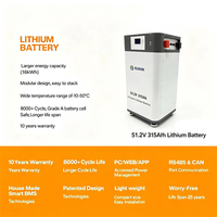 Batterie solaire LiFePO4 51,2 V 314 Ah 16 kW 15 kWh 48 V à faible MOQ avec BMS intégré, pack de batteries lithium LiFePO4 48 V 16 kWh