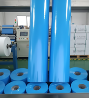 Tissu non tissé laminé en PP PE HDPE durable, protection supérieure, flexibilité, performance fiable, toiture synthétique
