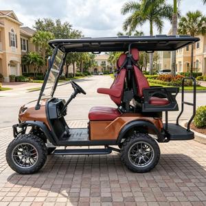 Nuevo Carro de Golf Personalizable de 4 Asientos, 48 Voltios, Calidad Premium con Diseño de Color y Logotipo Gratis para Uso en Resorts o Campos de Golf Rb9g2+2 - Product Image 5
