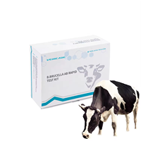 Vericare Kit de test rapide des anticorps bovins Brucella Kit de diagnostic rapide vétérinaire pour la ferme bovine