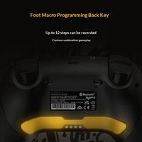 GameSir Nova 2 Lite Panda Gamepad Mekanik D-Pad Tombol Belakang Makro Pengontrol Tri-Mode untuk Switch 2 PC Steam IOS Android