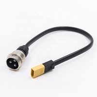 Faisceau de câbles de port de charge pour scooter électrique GX16 3 broches connecteur d'aviation circulaire prise vers connecteur femelle SM2.50 2Pin 200mm