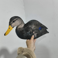 Appeaux de Chasse Silhouette Canard Noir Personnalisés, Plusieurs Styles, Entièrement Floqués, Plastique Étanche Anti-Rayures