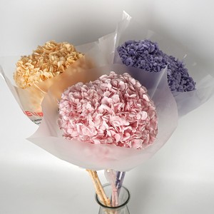 Fleur naturelle stabilisée Lijiang, <span class=keywords><strong>Hortensia</strong></span> à grandes feuilles, tige unique, pour décoration intérieure, ornement, bouquet, cadeau - Product Image 4