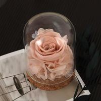 Nouvelles Roses Éternelles 2026 au Toucher Réel sous Cloche en Verre – Longue Durée (3-5 Ans) – Idéales pour la Fête des Mères, Noël, Thanksgiving