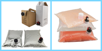Remplisseuse de sacs dans des boîtes Remplisseuse de sacs dans des boîtes d'huile comestible automatique aseptique pour le remplissage de bavoir de boîtes de jus de fruits et de boissons