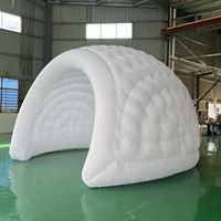Tente de réception gonflable publicitaire extérieure sphérique en PVC imperméable avec LED