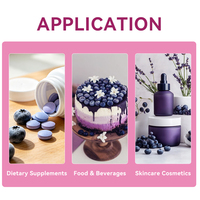 Ekstrak Bubuk Blueberry Liar Beku Kering Alami Antosianin 5% 10% 25% Antioksidan Alami untuk Suplemen Makanan Kosmetik