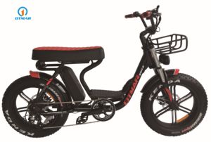 750W moto suspension complète rétro électrique gros <span class=keywords><strong>pneu</strong></span> vélo urbain vintage vélo électrique 7s adulte fabricant OEM Ebike - Product Image 4