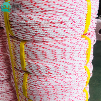 Yüksek Mukavemetli 3 Katlı 4 Katlı Bükümlü Naylon Polyester PP Paketleme Sicimi, Dayanıklı İnce İp Kordonu Paketleme ve Ambalajlama İçin 6mm