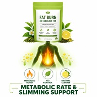 Thé Minceur Herbal Brûle-Graisse 5g x 20 Sachets Pyramidaux – Soutien Métabolique & Amincissant – Durée de Conservation 18 Mois