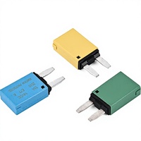 Disjoncteur automatique Topstone E77 à réinitialisation automatique, 14 V CC, type lame de voiture, profil bas, mini-lame, capacité de coupure moyenne