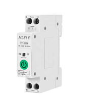 2024 Nouveau Design Smart 4G 2 Pôles 63A MCB Disjoncteur Télécommande Miniature Disjoncteurs pour Smart House Utilisation LI