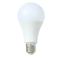 Ampoule LED globe DC AC 12V/24V/36V/48V avec culot E27, corps en plastique basse tension pour éclairage de bateaux de pêche, machines-outils et batteries