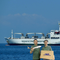 Services d'expédition internationale express/courrier, services d'expédition de fret de la Chine vers l'Afrique du Sud, transitaire DDP à faible coût