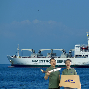 Quốc tế <span class=keywords><strong>Express</strong></span>/chuyển phát nhanh vận chuyển hàng hóa DỊCH VỤ VẬN chuyển từ Trung Quốc đến Nam Phi DDP vận chuyển hàng hóa giao nhận với tỷ lệ thấp - Product Image 1