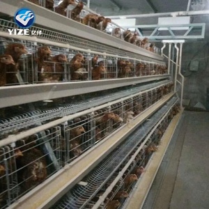 Strato gabbia di pollo batteria di esportazione in Tanzania, Kenya, Zambia, Uganda, Nigeria - Product Image 2