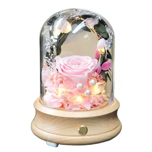 UO Real Pink Preserved Eternal Rose in Glass Dome Romantic Eternal Rose Flower Under Glass Bell with Blue tooth LED Light