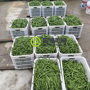 เครื่องอบแห้งแบบถาดสำหรับถั่วในสวน ผัก และถั่วเขียว - Product Image 3