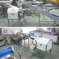 800-1200kg/uur Fruit- en Groenteblokjes Snijmachine