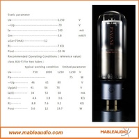 Tube d'amplificateur audio professionnel Psvane Acme 211/211, amplificateur audio vintage Hifi DIY