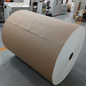 วัตถุดิบกระดาษเคลือบ PE สำหรับทำแก้วกระดาษแบบใช้แล้วทิ้ง - Product Image 3