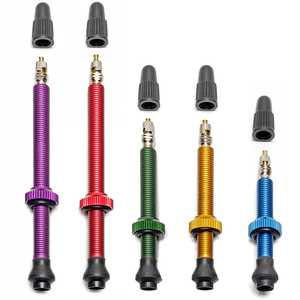 <span class=keywords><strong>Valve</strong></span> de vélo sans chambre à air, <span class=keywords><strong>valve</strong></span> pour <span class=keywords><strong>VTT</strong></span>, vélo de route, BMX, valves sans chambre à air pour systèmes Tubeless Ready - Product Image 1