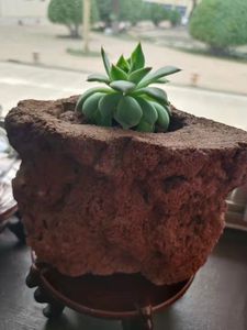 Macetas de <span class=keywords><strong>piedra</strong></span> de roca de Lava volcánica roja para jardín, paisajismo, flores, medianas para plantas - Product Image 5