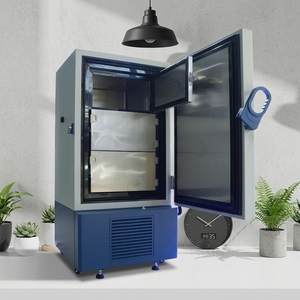 Congélateur vertical compact BIOBASE Chine haute qualité -86°C à 2 étagères 168L pour laboratoire - Product Image 1