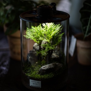 Aksesori akuarium desain seni penjualan laris dekorasi kantor Pot kaca botol lanskap mikro lampu akuarium akuarium - Product Image 4
