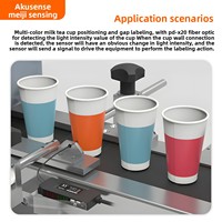 AKUSENSE Capteur à fibre optique PD-X20 Lentille intégrée Petite sonde de mise au point 30mm Distance de détection Série originale Origine chinoise