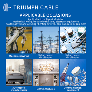 Câble blindé torsadé Triumph RVVSP RS485 300V multiconducteur en cuivre étamé tressé pour l'automatisation industrielle et le contrôle PLC - Product Image 6