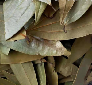 Hojas de Laurel Indio Secas Naturales, Tejpat Malabathrum, <span class=keywords><strong>Cinnamomum</strong></span> Tamala - Product Image 6